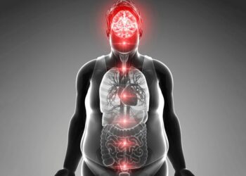 Brain on Fat: Study Reveals How Diet May Drive Anxiety