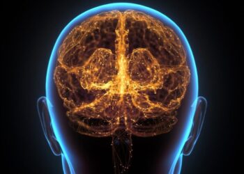 Scientists Warn: Long Work Hours May Physically Alter Your Brain