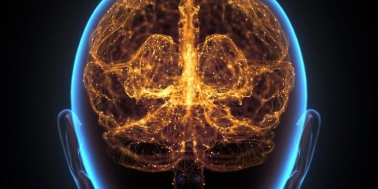 Scientists Warn: Long Work Hours May Physically Alter Your Brain