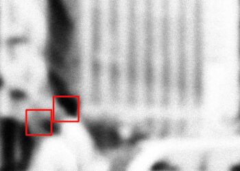 ICE Rolls Facial Recognition Tools Out to Officers’ Phones