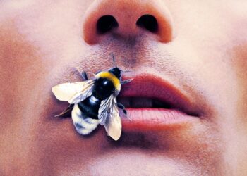 A Billionaire Just Died in the Most Bizarre Way You Can Possibly Imagine