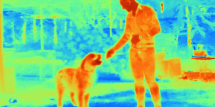 ‘Magic’ lenses make infrared light visible