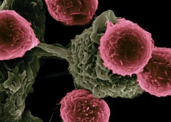 CAR T Therapy Wipes Out Deadly Metastasized Cancer in Mice