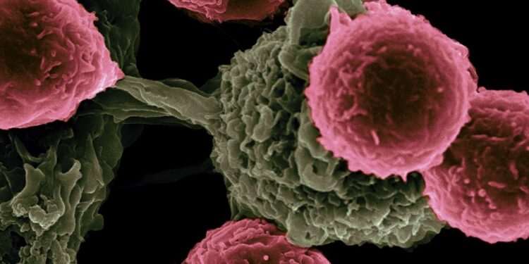 CAR T Therapy Wipes Out Deadly Metastasized Cancer in Mice