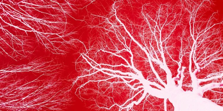 Scientists Can Now Design Intricate Networks of Blood Vessels for 3D-Printed Organs