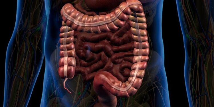 Caltech’s New Smart Pill Can Read Your Gut Like Never Before