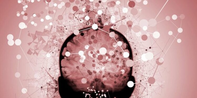 UCLA Scientists Identify 4 Key Pathways to Alzheimer’s Disease