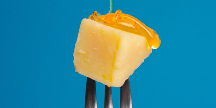 Designer Bacteria Could One Day Make Cheese Without Milk