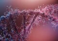 New Google AI Will Work Out What 98% of Our DNA Actually Does for the Body