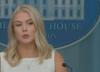 Karoline Leavitt Can’t Handle Being Asked Why Trump Had To Run Off To Talk To Putin Alone