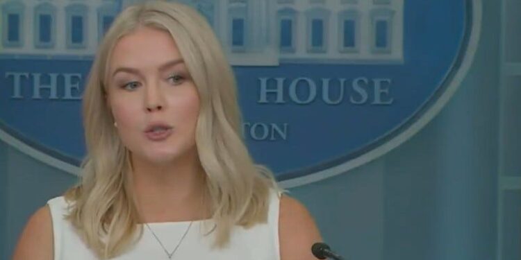 Karoline Leavitt Can’t Handle Being Asked Why Trump Had To Run Off To Talk To Putin Alone