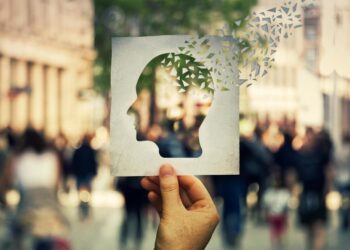 Scientists Uncover Hidden Link Between Cholesterol Flow and Alzheimer’s Disease