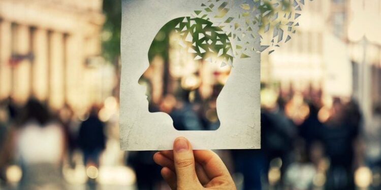 Scientists Uncover Hidden Link Between Cholesterol Flow and Alzheimer’s Disease