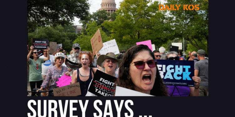Americans hate gerrymandering. Texas Republicans don’t care.