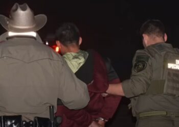 In Six Months, ICE Arrests 350 Gang Members In Houston