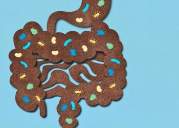 Gut bacterium may hold the key to chronic disease treatments