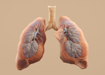 In a First, Scientists Transplant a Modified Pig Lung Into a Person