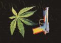 Appeals court agrees prosecuting cannabis users for gun possession may be unconstitutional
