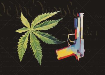 Appeals court agrees prosecuting cannabis users for gun possession may be unconstitutional