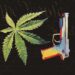 Appeals court agrees prosecuting cannabis users for gun possession may be unconstitutional