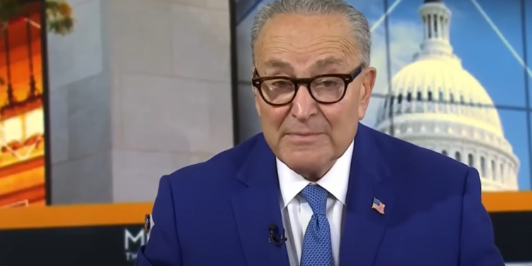 Chuck Schumer Obliterates Trump’s Shutdown Threats