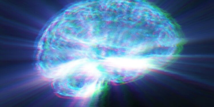 Why One Brain Circuit Collapses First in Alzheimer’s