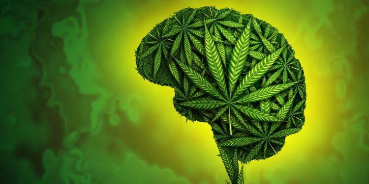 Cannabis for Anxiety? Why It May Make Things Worse