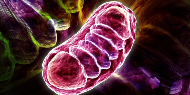 Scientists Uncover a New Clue Inside the Cell’s Power Plant