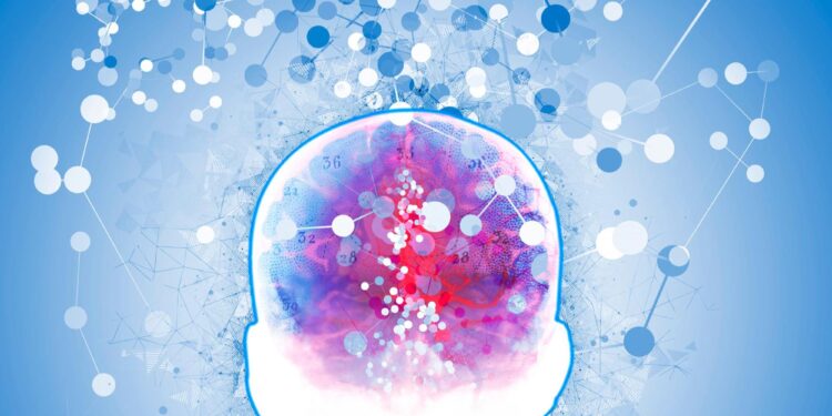 “Young” Immune Cells Reverse Signs of Alzheimer’s and Aging