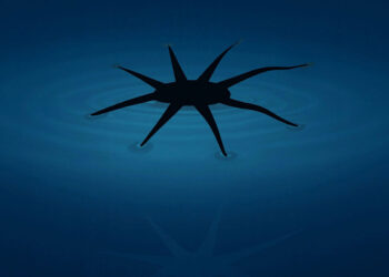 Engineers Create Soft Robots That Can Literally Walk on Water