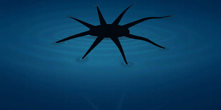 Engineers Create Soft Robots That Can Literally Walk on Water