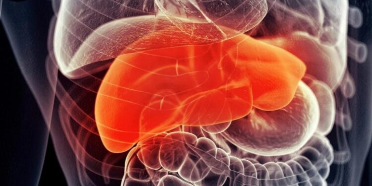 Existing Drugs Combine To Fight World’s Most Common Liver Disease