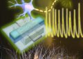 Scientists Create Artificial Neuron That “Speaks” the Language of the Brain