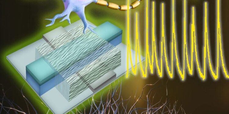 Scientists Create Artificial Neuron That “Speaks” the Language of the Brain