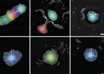 These Tiny Robots Can Swarm, Adapt, and Heal Themselves