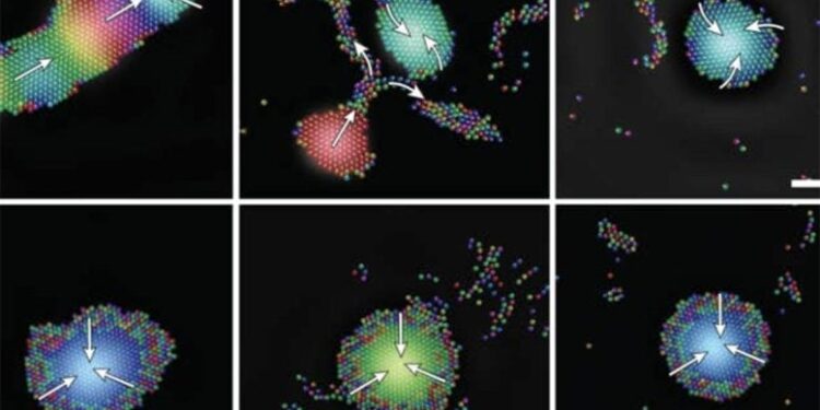 These Tiny Robots Can Swarm, Adapt, and Heal Themselves