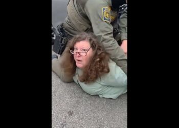 Video shows Border Patrol agents arresting a Chicago TV producer