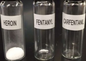 Why Fentanyl Smuggling isn’t War and Cannot Justify Extrajudicial Killing