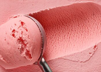 Lab-made fish blood protein saves ice cream from freezer burn