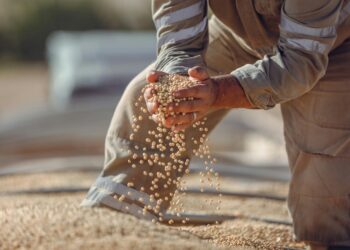 Trump Hints at Pressing China on Soybean Purchases
