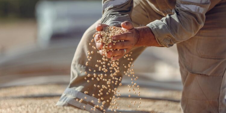 Trump Hints at Pressing China on Soybean Purchases