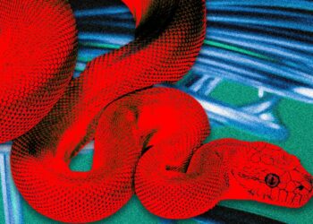 This ‘Privacy Browser’ Has Dangerous Hidden Features