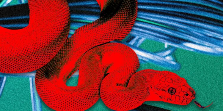 This ‘Privacy Browser’ Has Dangerous Hidden Features