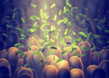 Scientists Discover How To Turn Gut Microbiome Into a Longevity Factory