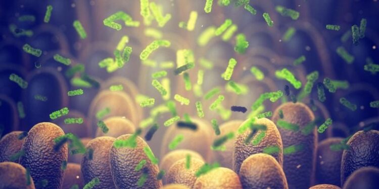 Scientists Discover How To Turn Gut Microbiome Into a Longevity Factory