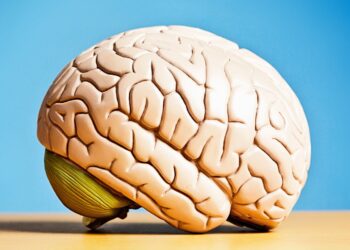 1 immune circuit may protect the brain against Alzheimer’s