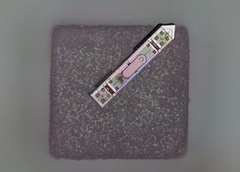 This Wireless Brain Implant Is Smaller Than a Grain of Salt