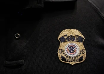 US Hires 50,000 Federal Workers Under Trump, Boosting Immigration Roles