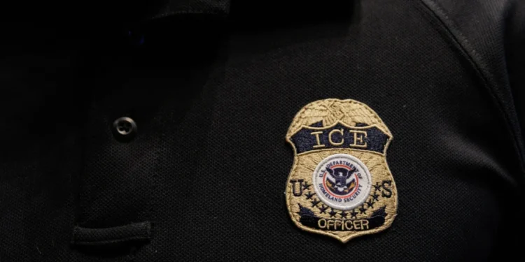 US Hires 50,000 Federal Workers Under Trump, Boosting Immigration Roles