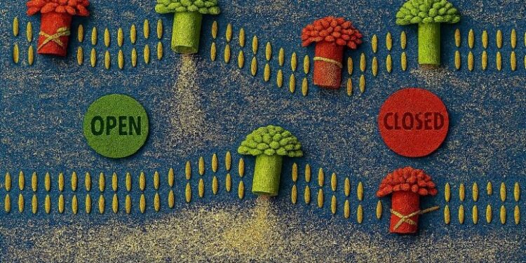 Scientists Uncover How Tiny “Nanopores” Learn Like the Brain